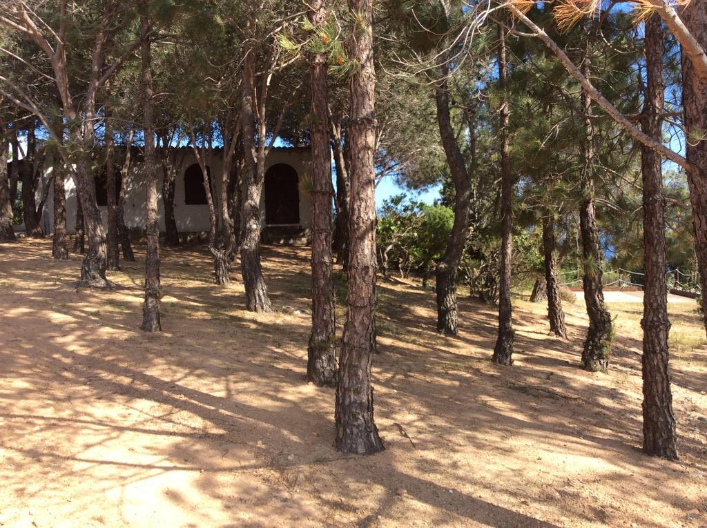 Villa Chia Aloe&Cactus Exterior foto